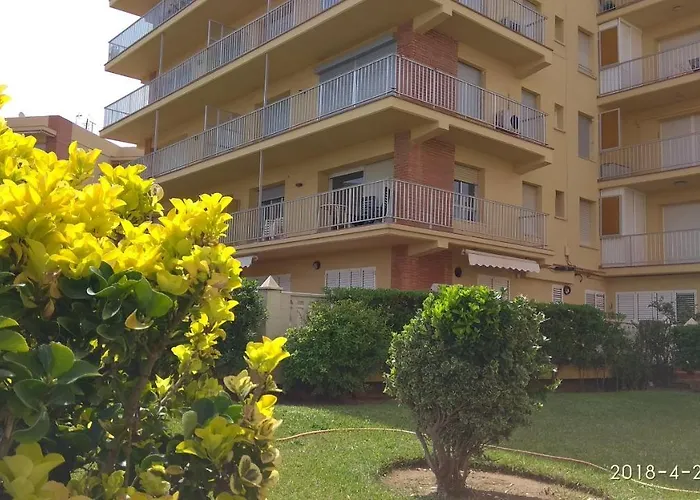 Primera Linea De Mar Daire *